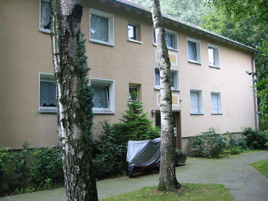 sanierte, großzügig geschnittene 2-Zi-Wohnung mit Balkon - Photo 2