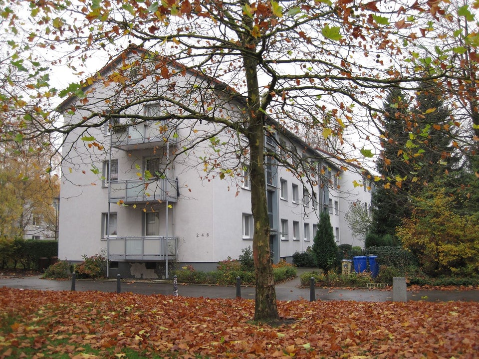 Perfekt für uns: interessante 3-Zimmer-Wohnung - Foto 2