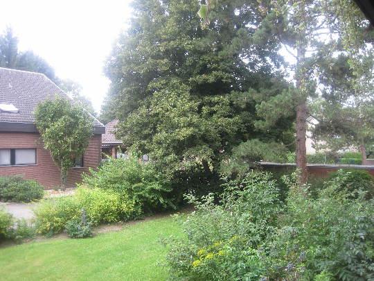 Helle Wohnung sucht Mieter: ideale 2-Zi.-Wohnung - Foto 3