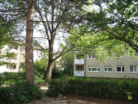 3-Zimmer-Wohnung in Köln Holweide - Photo 4