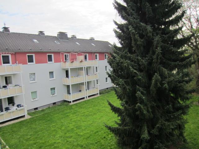 Komm nach Kettwig! Ideal für Singles, feines Appartement mit Balkon - Foto 2