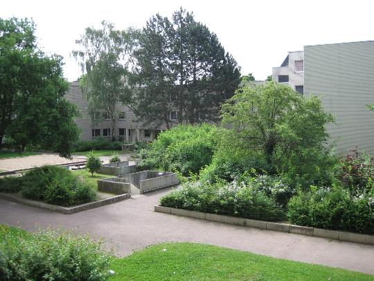 Großzügige Wohnung im Herzen von Bonn-Tannenbusch – frisch saniert und ideal für Familien oder WGs - Photo 3