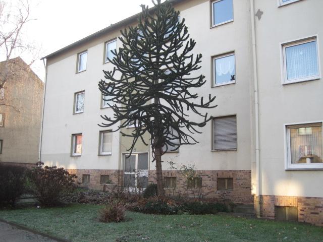 Komplett renovierte 2,5-Zimmer-Wohnung in Nähe City mit Balkon! - Foto 4
