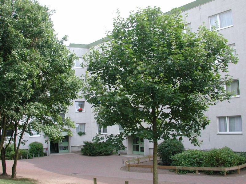 Großzügige 3-Zimmer-Wohnung: ab sofort verfügbar - Foto 2