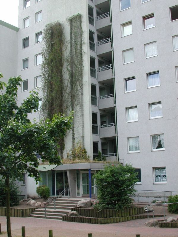 Nimm mich! Geräumige 3-Zimmer-Wohnung - Foto 2