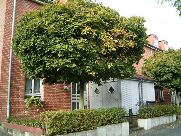 Gepflegte Lage im schönen St. Magnus - Foto 1