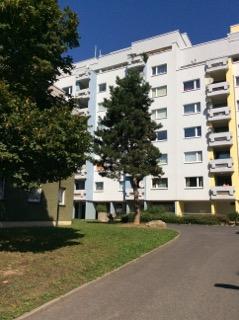 Neu renovierte 3-Zimmer-Wohnung - Foto 3