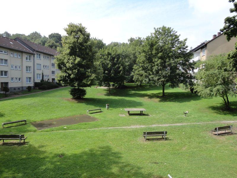 Wohnen im Grünen: renovierte 3-Zimmer-Wohnung! - Foto 3