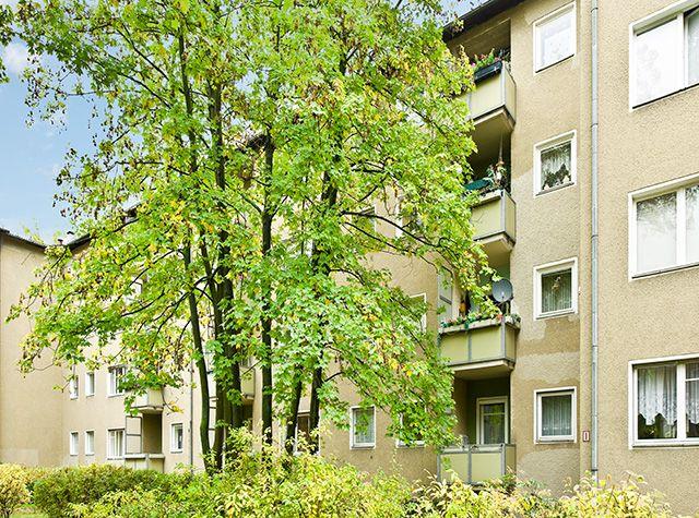 Ihre neue Wohnung: 1-Zimmer-Single-Appartment - Photo 2