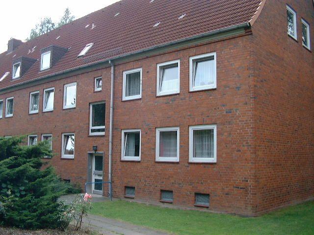 Modernisiert & gemütlich – frisch sanierte 3-Zimmer-Wohnung - Foto 2