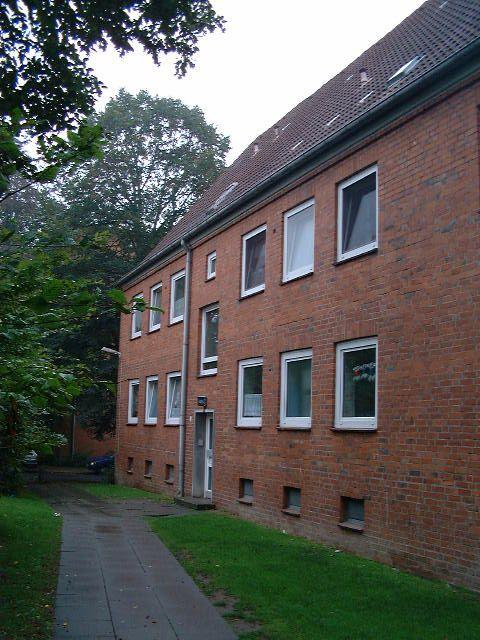 Frisch saniert im Erdgeschoss - Ihre neue Wohnung? - Foto 1