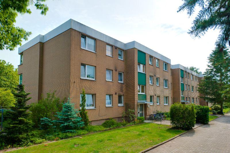 Renovierte 3-Zimmer-Wohnung in Haste frei! - Photo 3