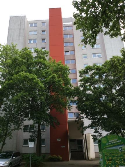 Hoch hinaus - Foto 5