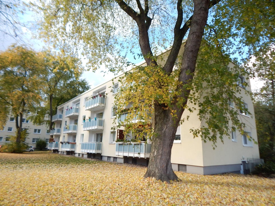 Hier bin ich gerne Zuhause - Traumwohnung in top Lage - Foto 2