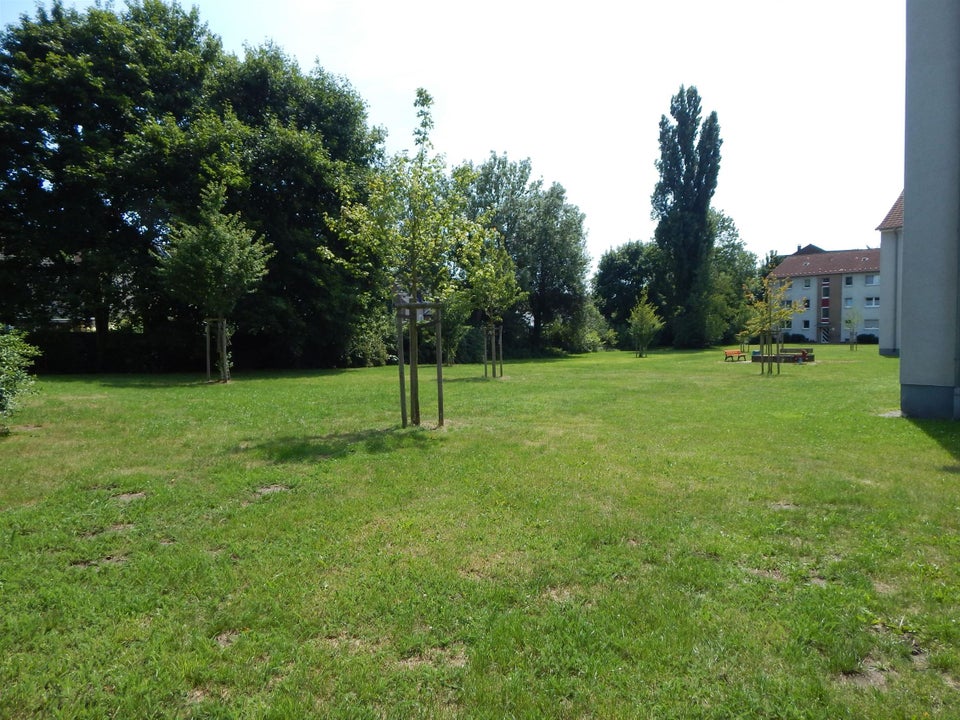 Wohn(t)raum: günstige 2,5 -Zimmer-Wohnung mit Balkon - Foto 3
