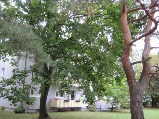 Entdecken Sie modernisierte 3 Zimmer mit Balkon - Photo 4