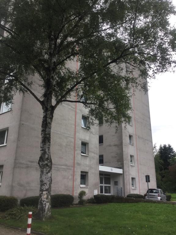 Weitblick inklusive: renovierte 2-Zimmer-Wohnung (2er-WG geeignet) - Photo 1
