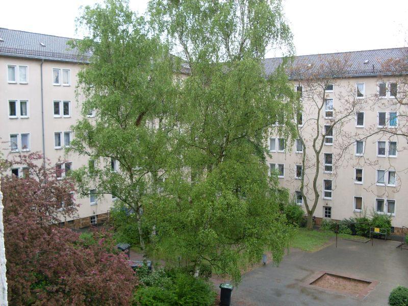 Renovierte, zentral gelegene 2-Zimmer-Wohnung ab sofort frei - Foto 2
