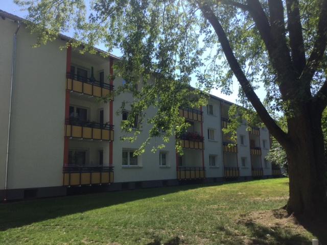 Nimm mich! Ansprechende 2,5-Zimmer-Wohnung - Foto 3