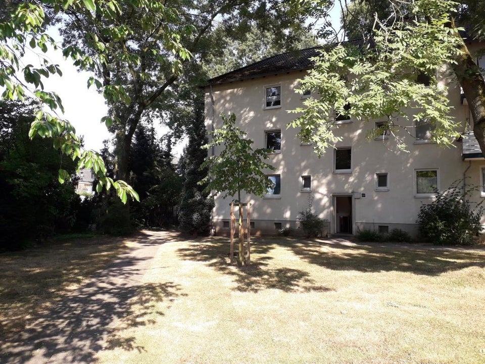 Moderne Wohnung in Hassels für Singles ab sofort - Photo 4