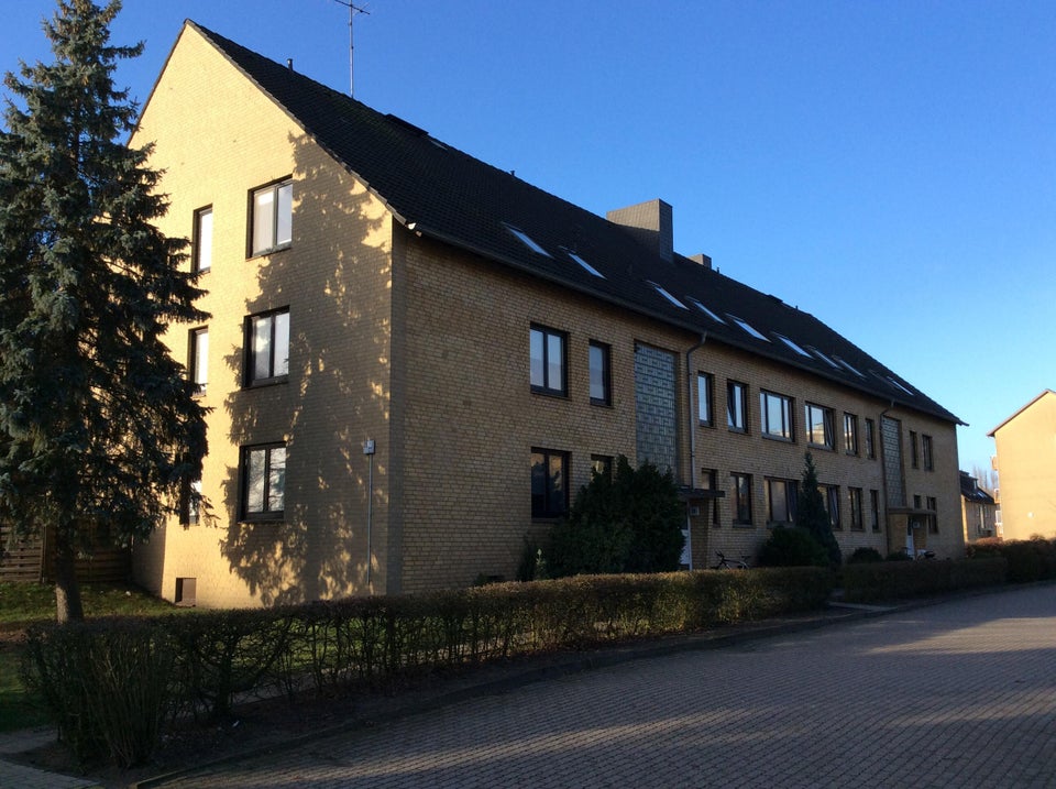 Klein aber mein: praktisches 1,5-Zi.-Single-Appartment - Foto 1
