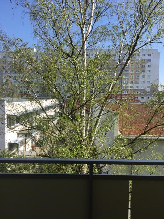 Kleine gemütliche 4 Raum Wohnung, Haus mit Aufzug, Nachmieter gesucht! - Foto 1