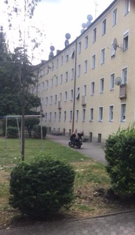 Neu renovierte, ansprechende 2-Zimmer-Wohnung im Erdgeschoss - Foto 2