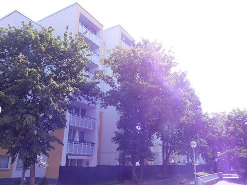 Frisch renovierte 3-Zimmer-Wohnung - Photo 2