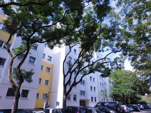 Frisch renovierte 3-Zimmer-Wohnung - Photo 2