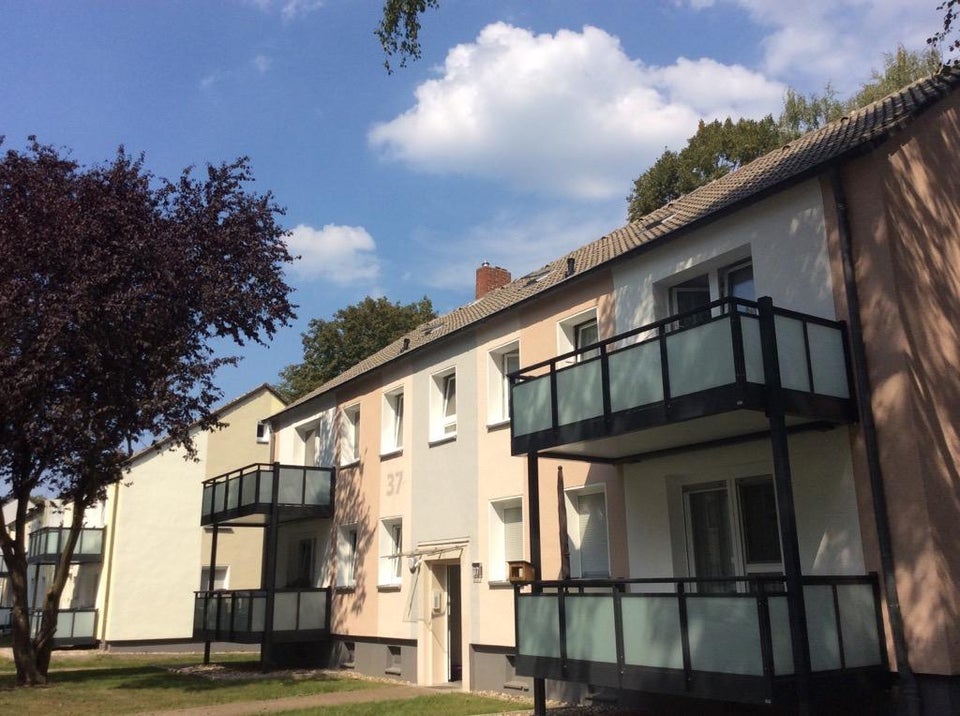 bezugsfertige 2-Zimmer-Wohnung in ruhiger Lage - Foto 3