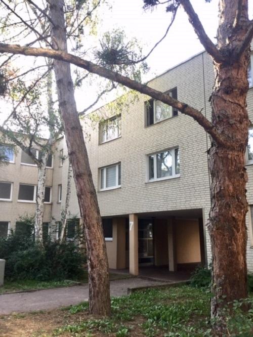 Das Glück hat ein Zuhause: familienfreundliche 3,5-Zi.-Wohnung - Foto 2