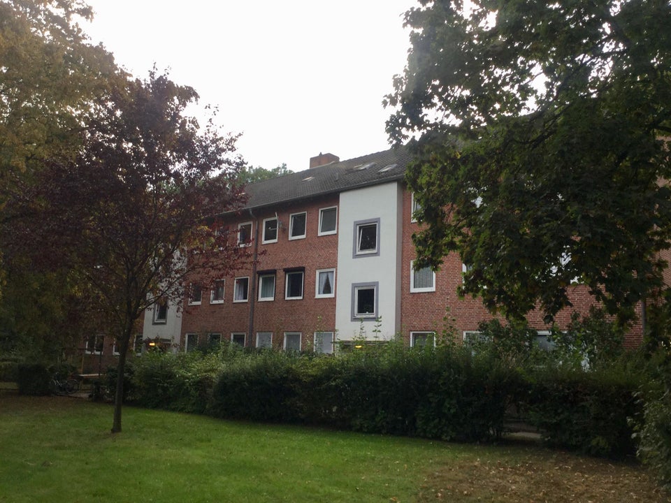 Frisch saniert in grüner Lage - Ihre neue Wohnung? - Foto 2