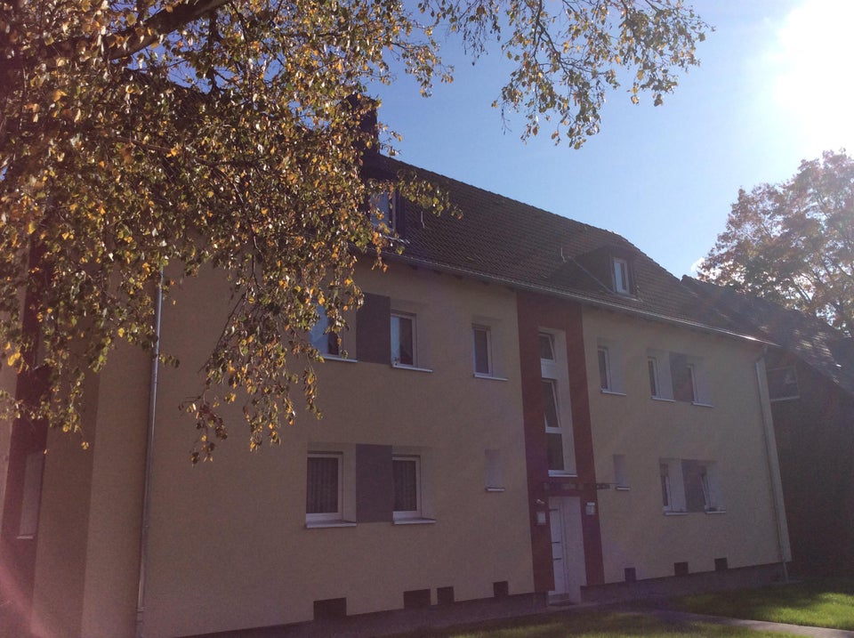 Komplett renovierte 3-Zimmer -Wohnung mit großer Küche - Photo 3