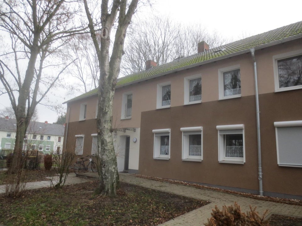 Nette Nachbarn gesucht: günstige 2,5-Zimmer-Wohnung im Erdgeschoß mit Terrassenzugang - Foto 2