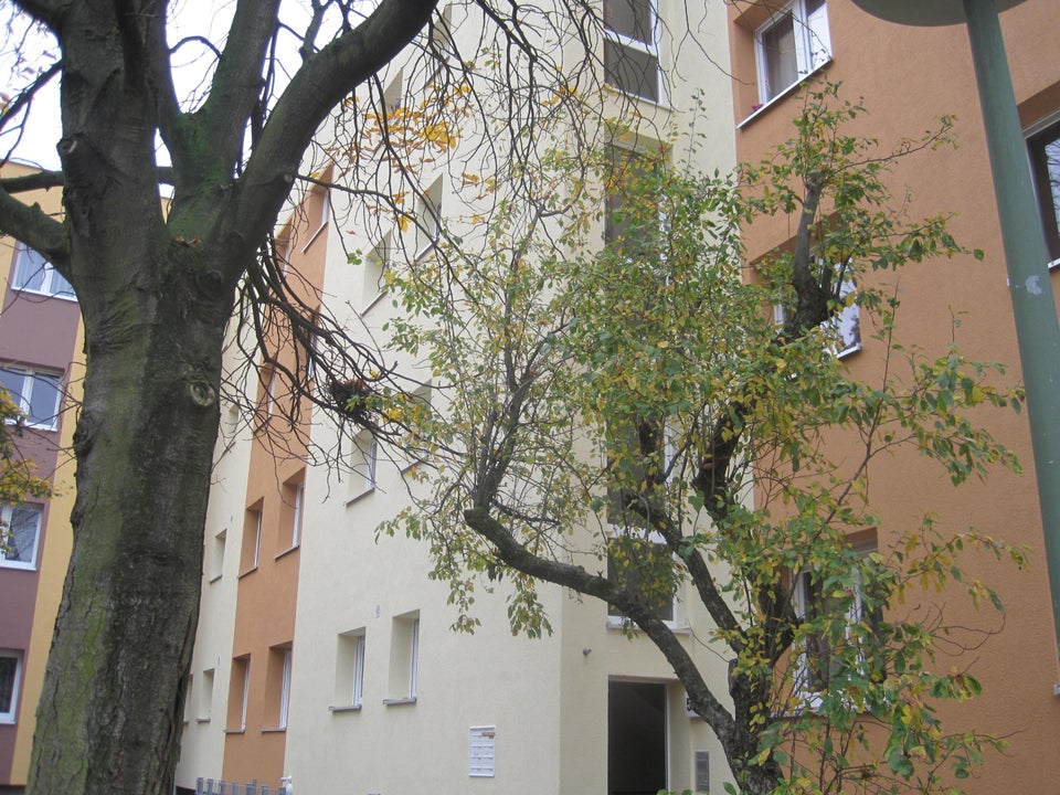 Charmant sanierte 3-Raum-Wohnung - Foto 1
