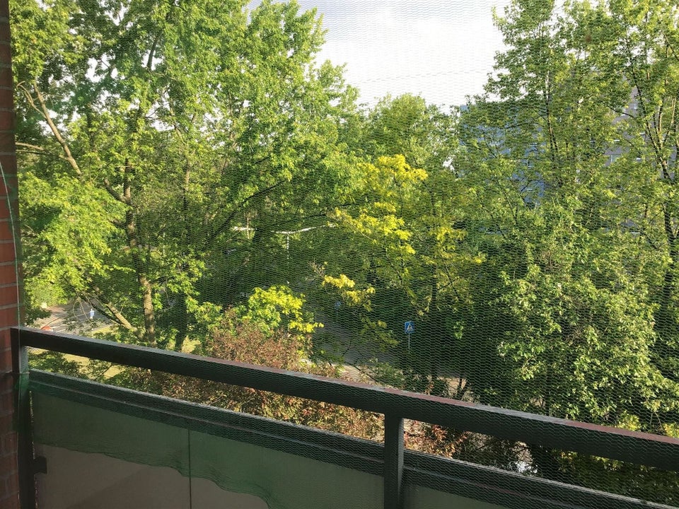 Top renovierte 1-Zimmerwohnung mit Terrasse - Photo 2