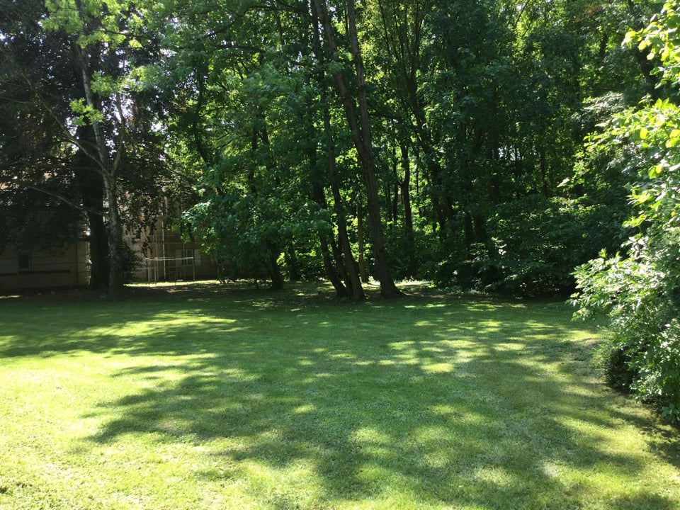 2,5 Zimmerwohnung mit Balkon - Foto 4
