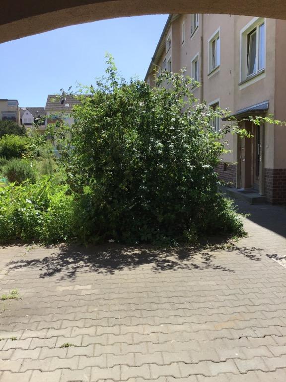 Ihre neue Wohnung: individuelle 2-Zimmer-Wohnung - Foto 1