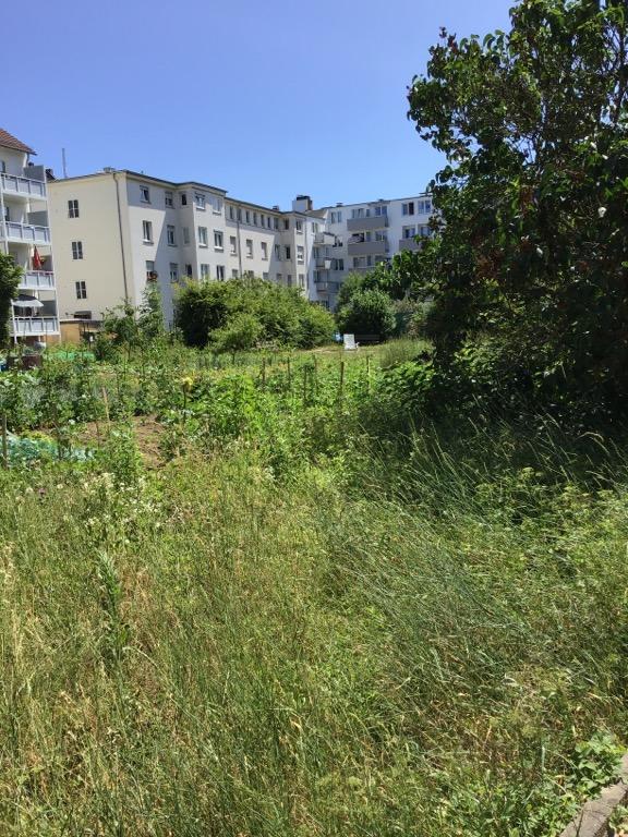 Ihre neue Wohnung: individuelle 2-Zimmer-Wohnung - Foto 3