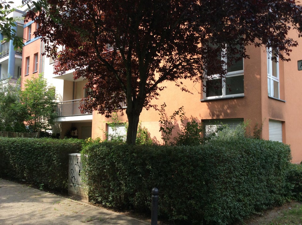 Angekommen ++ in Ihrem neuen Zuhause !! - Foto 5