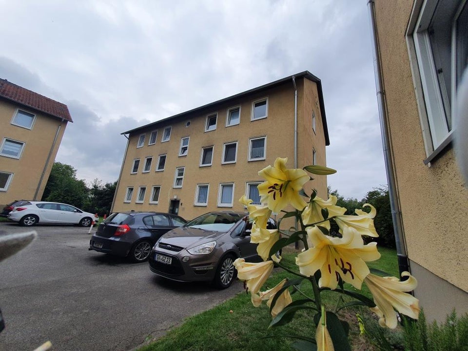 Neue Wohnung, neues Glück! Individuelle 2-Zi.-Wohnung - Foto 2