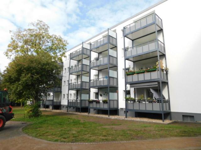 Wer will mich!? 2-Zimmer-Wohnung - Foto 2