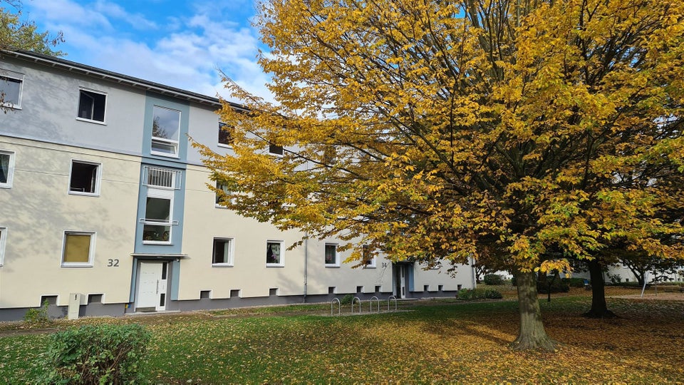 Traumwohnung in Traumlage - Foto 4