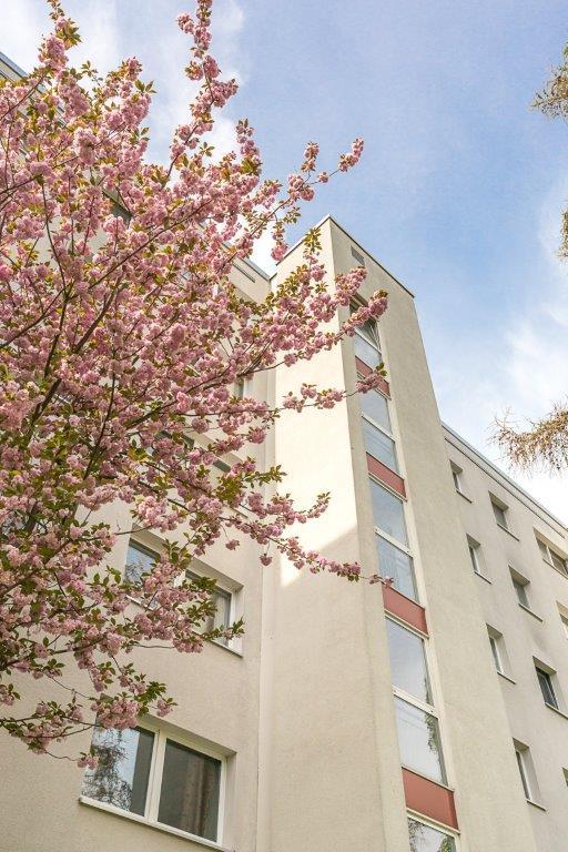 3 Raum-Wohnung mit Balkon - Photo 3