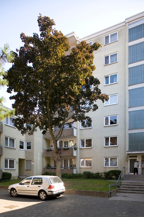 Frisch saniert: Moderne Citywohnung mit Balkon in zentraler Lage - Foto 1