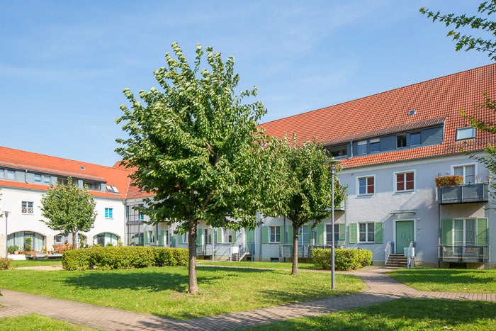 Ich werde noch fertig saniert! 3-Zimmerwohnung in ruhiger Lage ab dem 01.01.2027 zu vermieten! - Foto 2