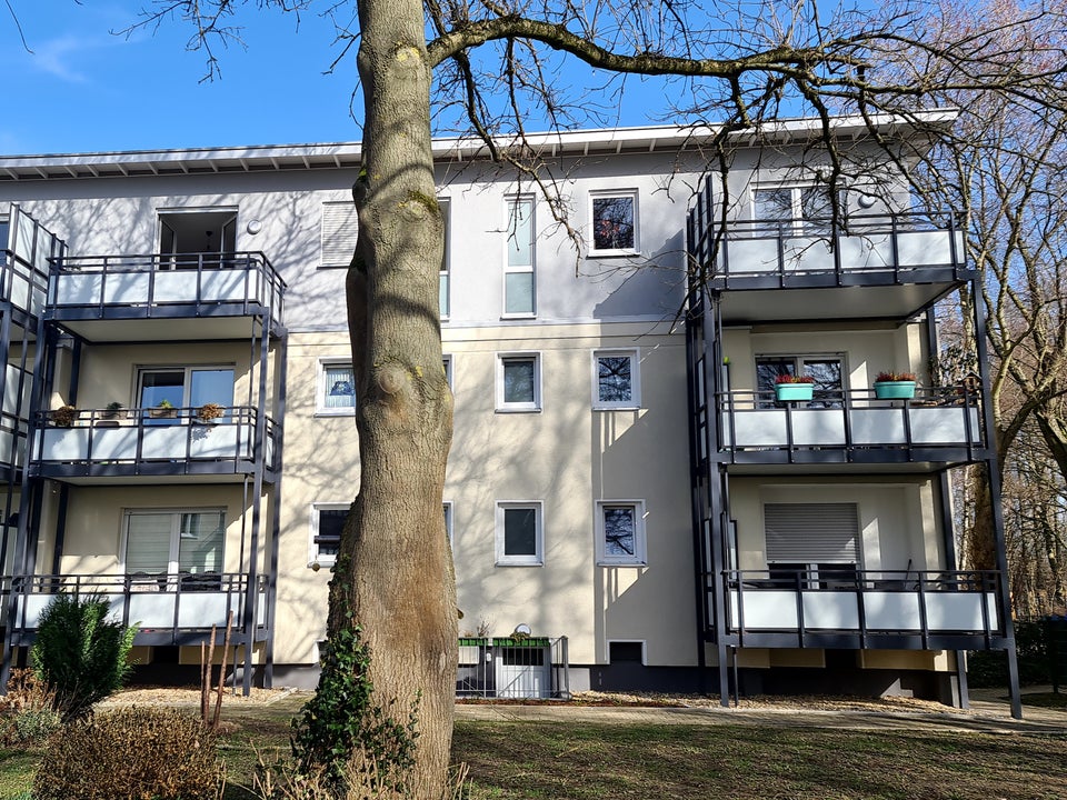 Wohntraum in Hörde - Photo 2