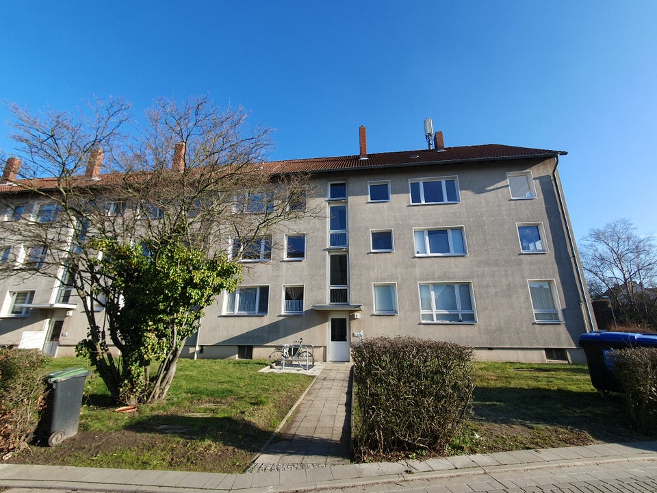 Alles frisch und neu, das ist toll! - Foto 5