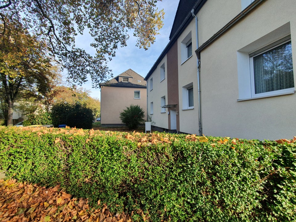 Wohlfühlen im neuen Zuhause: gemütliche 2,5 Raum Wohnung - komplett renoviert! - Photo 2