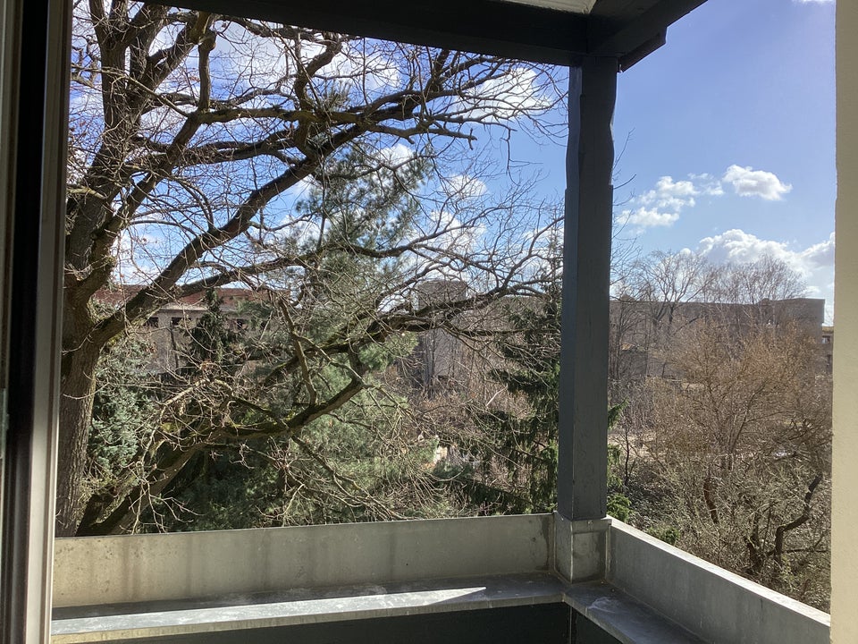 Große Wohnküche mit Zugang zum Balkon! - Foto 4